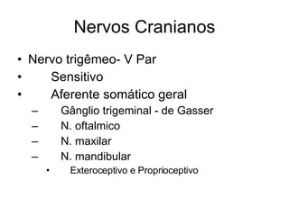 Nervos Cranianos Nervo trigêmeo- V Par 􀂄  Sensitivo 􀂄  Aferente somático geral 􀂄  Gânglio trigeminal - de Gasser 􀂄  N. oftalmico 􀂄  N. maxilar 􀂄  N. mandibular 􀂄  Exteroceptivo e Proprioceptivo 