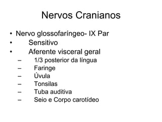 Nervos Cranianos Nervo glossofaríngeo- IX Par 􀂄  Sensitivo 􀂄  Aferente visceral geral 􀂄  1/3 posterior da língua 􀂄  Faringe 􀂄  Úvula 􀂄  Tonsilas 􀂄  Tuba auditiva 􀂄  Seio e Corpo carotídeo 