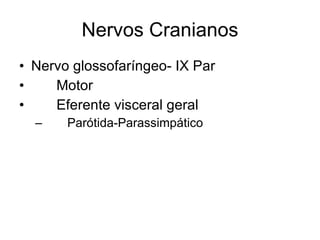 Nervos Cranianos Nervo glossofaríngeo- IX Par 􀂄  Motor 􀂄  Eferente visceral geral 􀂄  Parótida-Parassimpático 