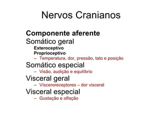 Nervos Cranianos Componente aferente Somático geral 􀂄   Exteroceptivo 􀂄   Proprioceptivo Temperatura, dor, pressão, tato e posição   Somático especial Visão, audição e equilíbrio Visceral geral Vísceroreceptores – dor visceral Visceral especial Gustação e olfação 