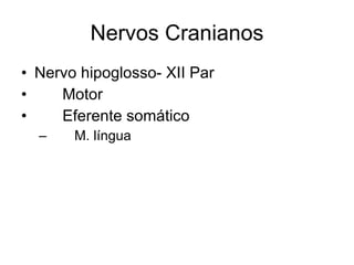 Nervos Cranianos Nervo hipoglosso- XII Par 􀂄  Motor 􀂄  Eferente somático 􀂄  M. língua 
