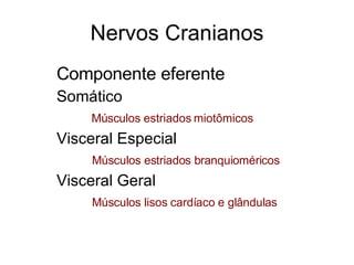Nervos Cranianos Componente eferente Somático   Músculos estriados miotômicos Visceral Especial Músculos estriados branquioméricos Visceral Geral Músculos lisos cardíaco e glândulas 