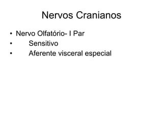 Nervos Cranianos Nervo Olfatório- I Par 􀂄  Sensitivo 􀂄  Aferente visceral especial 