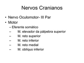 Nervos Cranianos Nervo Oculomotor- III Par Motor Eferente somático 􀂄  M. elevador da pálpebra superior 􀂄  M. reto superior 􀂄  M. reto inferior 􀂄  M. reto medial 􀂄  M. oblíquo inferior 
