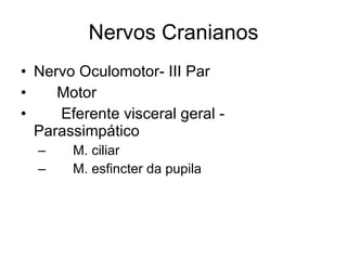 Nervos Cranianos Nervo Oculomotor- III Par 􀂄  Motor 􀂄  Eferente visceral geral - Parassimpático 􀂄  M. ciliar 􀂄  M. esfincter da pupila 