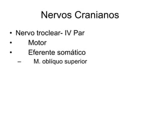 Nervos Cranianos Nervo troclear- IV Par 􀂄  Motor 􀂄  Eferente somático 􀂄  M. oblíquo superior 