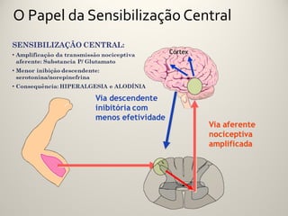 O Papel da Sensibilização Central
 