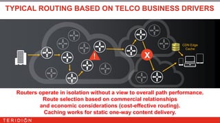 Teridion Overview | PPTX
