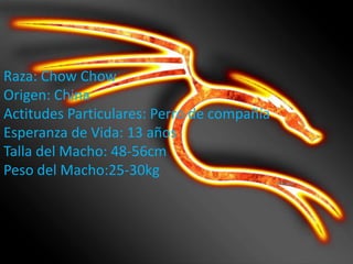 Raza: Chow Chow
Origen: China
Actitudes Particulares: Perro de compañía
Esperanza de Vida: 13 años
Talla del Macho: 48-56cm
Peso del Macho:25-30kg

 