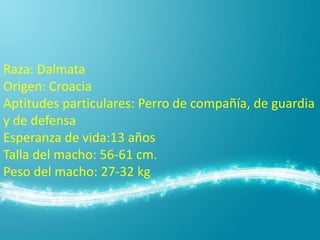 Raza: Dalmata
Origen: Croacia
Aptitudes particulares: Perro de compañía, de guardia
y de defensa
Esperanza de vida:13 años
Talla del macho: 56-61 cm.
Peso del macho: 27-32 kg

 
