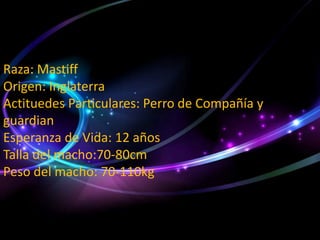 Raza: Mastiff
Origen: Inglaterra
Actituedes Particulares: Perro de Compañía y
guardian
Esperanza de Vida: 12 años
Talla del macho:70-80cm
Peso del macho: 70-110kg

 