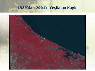 1989’dan 2001’e Yeşilalan Kaybı
 