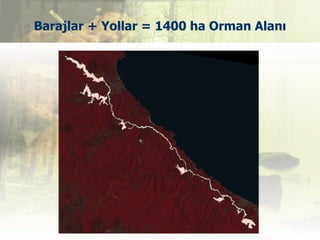 Barajlar + Yollar = 1400 ha Orman Alanı
 