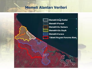 Memeli Alanları Verileri
 