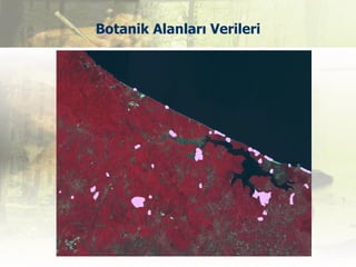 Botanik Alanları Verileri
 