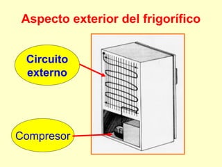 Aspecto exterior del frigorífico
Compresor
Circuito
externo
 