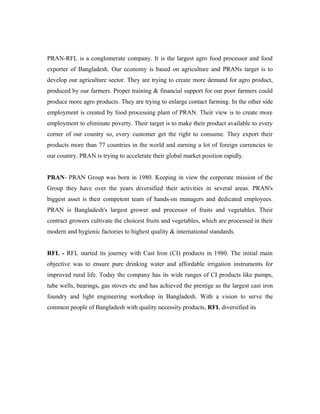Term paper-on-pran-rfl-group | DOC