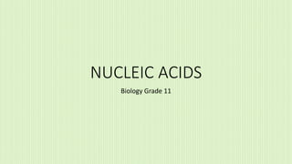 NUCLEIC ACIDS
Biology Grade 11