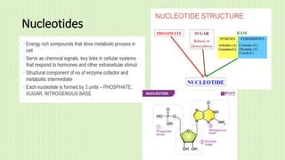 Nucleotides