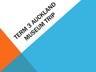 Term 3 Auckland Museum Trip
