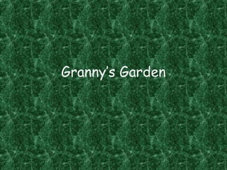 Granny’s Garden
 