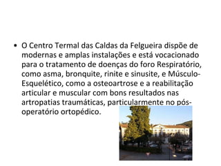 O Centro Termal das Caldas da Felgueira dispõe de modernas e amplas instalações e está vocacionado para o tratamento de doenças do foro Respiratório, como asma, bronquite, rinite e sinusite, e Músculo-Esquelético, como a osteoartrose e a reabilitação articular e muscular com bons resultados nas artropatias traumáticas, particularmente no pós-operatório ortopédico.   