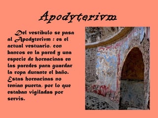 Apodyterivm
Del vestíbulo se pasa
al Apodyterivm : es el
actual vestuario, con
bancos en la pared y una
especie de hornacinas en
las paredes para guardar
la ropa durante el baño.
Estas hornacinas no
tenían puerta, por lo que
estaban vigiladas por
servis.
 