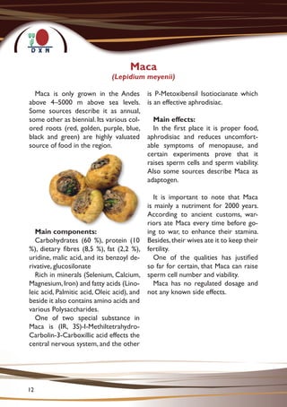 Maca
(Lepidium meyenii)
Maca is only grown in the Andes
above 4–5000 m above sea levels.
Some sources describe it as annual,
some other as biennial. Its various col-
ored roots (red, golden, purple, blue,
black and green) are highly valuated
source of food in the region.
Main components:
Carbohydrates (60 %), protein (10
%), dietary fibres (8,5 %), fat (2,2 %),
uridine, malic acid, and its benzoyl de-
rivative, glucosilonate
Rich in minerals (Selenium, Calcium,
Magnesium,Iron) and fatty acids (Lino-
leic acid, Palmitic acid, Oleic acid), and
beside it also contains amino acids and
various Polysaccharides.
One of two special substance in
Maca is (IR, 3S)-I-Methiltetrahydro-
Carbolin-3-Carboxillic acid effects the
central nervous system, and the other
is P-Metoxibensil Isotiocianate which
is an effective aphrodisiac.
Main effects:
In the first place it is proper food,
aphrodisiac and reduces uncomfort-
able symptoms of menopause, and
certain experiments prove that it
raises sperm cells and sperm viability.
Also some sources describe Maca as
adaptogen.
It is important to note that Maca
is mainly a nutriment for 2000 years.
According to ancient customs, war-
riors ate Maca every time before go-
ing to war, to enhance their stamina.
Besides,their wives ate it to keep their
fertility.
One of the qualities has justified
so far for certain, that Maca can raise
sperm cell number and viability.
Maca has no regulated dosage and
not any known side effects.
12
 