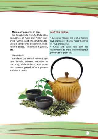 Main components in tea:
Tea Polyphenols (EGCG, ECG, etc.),
derivatives of Purin and Methyl xan-
thine (Caffeine and Theophylline), Fla-
vonoid compounds (Theaflavin, Thea-
flavin-3-gallate, Theaflavin-3’-gallates,
etc.)
Main effects:
stimulates the central nervous sys-
tem, diuretic, prevents mutations in
the body, antimicrobatic, anticancer-
ous, prevents growth of oral plaques
and dental caries
Did you know?
• Green tea reduces the level of harmful
LDL cholesterol whereas raises the levels
of HDL cholesterol?
• China and Japan have both led
examinations to prove the anticancerous
properties of green tea?
21
 