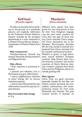 Self-heal
(Prunella vulgaris)
Prunella is an abundant twiner,climb-
ing on the grounds of in grasslands,
pastures and croplands, well-known
by the Traditional Chinese Medicine,
however excluded by the European
phytotherapy. It is even mentioned in
Li Shizhen’s famous Bencao Gangmu -
Compendium of Materia Medica, from
1578.
Main components:
Triterpene-saponins, Stereols (e.g
ectison), Flavonoids,Tanning substance
and Oligosaccharides
Main effects:
• Most important is preventing in-
fections
• prevents oral infections, and in-
flammations (e.g. gum inflammation)
• used as supplementary treatment
of tumor therapy (for its immune
modulant property)
• used to treat inflammated skin also
inflammations around the eyes (as a li-
quid cleanser)
Recommended daily dosage
6–15 g
Different citrus species have been
grown for very long period of time
for their fruit. Hungarian language
uses the same name, mandarin for
more than one type of citrus fruit
(e.g. Citrus reticulata, Citrus tanger-
ine, Citrus clementina), but as the
European Pharmacopeia describes
(Ph. Eur. 5.6), mandarin essential oil is
prepared from Citrus reticulata fruit
by a specific mechanical procedure.
Mandarin is grown in huge planta-
tions around Southern European
countries (Italy, Greece, Spain, etc.),
the American continent, and certain
countries of North America, how-
ever mandarin originates from South
China, and the Philippines, where it is
natively growing wild.
Main agents:
Citrus fruits are good nutriment,
especially valuable for the fiber and
Vitamin content (primarily the anti-
oxidant, anticancerous, and stress-
protecting vitamin C), Fruit acids,
Flavonoids and Minerals. The peel
contains 0,2–0,5 % Essential oil
Mandarin
(Citrus reticulata)
23
 