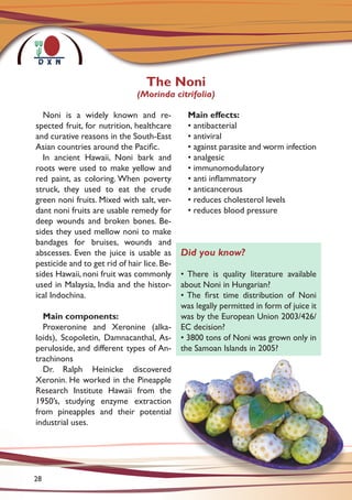 Noni is a widely known and re-
spected fruit, for nutrition, healthcare
and curative reasons in the South-East
Asian countries around the Pacific.
In ancient Hawaii, Noni bark and
roots were used to make yellow and
red paint, as coloring. When poverty
struck, they used to eat the crude
green noni fruits. Mixed with salt, ver-
dant noni fruits are usable remedy for
deep wounds and broken bones. Be-
sides they used mellow noni to make
bandages for bruises, wounds and
abscesses. Even the juice is usable as
pesticide and to get rid of hair lice.Be-
sides Hawaii, noni fruit was commonly
used in Malaysia, India and the histor-
ical Indochina.
Main components:
Proxeronine and Xeronine (alka-
loids), Scopoletin, Damnacanthal, As-
peruloside, and different types of An-
trachinons
Dr. Ralph Heinicke discovered
Xeronin. He worked in the Pineapple
Research Institute Hawaii from the
1950’s, studying enzyme extraction
from pineapples and their potential
industrial uses.
Main effects:
• antibacterial
• antiviral
• against parasite and worm infection
• analgesic
• immunomodulatory
• anti inflammatory
• anticancerous
• reduces cholesterol levels
• reduces blood pressure
The Noni
(Morinda citrifolia)
Did you know?
• There is quality literature available
about Noni in Hungarian?
• The first time distribution of Noni
was legally permitted in form of juice it
was by the European Union 2003/426/
EC decision?
• 3800 tons of Noni was grown only in
the Samoan Islands in 2005?
28
 