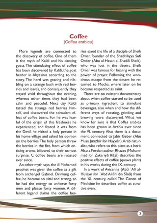 More legends are connected to
the discovery of coffee. One of them
is the myth of Kaldi and his dancing
goats. The stimulating effect of coffee
has been discovered by Kaldi, the goat
herder in Abyssinia according to the
story. The herd was grazing and nib-
bling on a strange bush with red ber-
ries and leaves, and consequently they
stayed vivid throughout the evening,
whereas other times they had been
calm and peaceful. Next day Kaldi
tasted the strange red berries him-
self, and discovered the stimulant ef-
fect of coffee beans. For he was fear-
ful of the origin of this freshness he
experienced, and feared it was from
the Devil, he visited a holy person in
his home village and asked his opinion
on the berries.The holy person threw
the berries in the fire, from which en-
ticing aroma billowed to their utmost
surprise. C coffee beans are roasted
ever since.
An other myth says,the ill Mohamed
prophet was given the coffee as a gift
from archangel Gabriel. Drinking cof-
fee, he became so vital and strong, so
he had the energy to unhorse forty
men and please forty women. A dif-
ferent legend claims the coffee ber-
ries saved the life of a disciple of Sheik
Omar, founder of the Shadhiliyya Sufi
Order (Abu al-Hasan al-Shadili Sheik),
who was lost in the desert. Sheik
Omar was famous for healing with the
power of prayer. Following the won-
drous escape from the desert he re-
turned to Mocha, where later on he
became respected as saint.
There are no existent documentary
about when coffee started to be used
as primary ingredient to stimulant
beverages, also when and how the dif-
ferent ways of roasting, grinding and
brewing were discovered. What we
know for sure is that Coffea arabica
has been grown in Arabia ever since
the VI. century. Also there is a docu-
ment, connected to Jabir Geber (Abu
Musa Jaszbir ibn Hayyān),Arab natur-
alist, who refers to this plant as a herb.
Also a Persian author,Rhazes (Muham-
mad ibn Zakariyā Rāzī) describes the
positive effects of coffee (quawa plant)
in his works during the IX. century.
In a work of Avicenna (Abū ʿAlī al-
Ḥusayn ibn ʿAbd Allāh ibn Sīnā) from
the XI. century, called The Canon of
Medicine he describes coffee as cura-
tive even.
Coffee
(Coffea arabica)
3
 