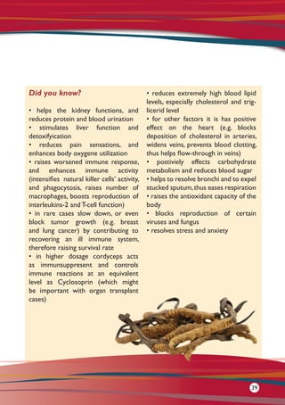 Did you know?
• helps the kidney functions, and
reduces protein and blood urination
• stimulates liver function and
detoxifyication
• reduces pain sensations, and
enhances body oxygene utilization
• raises worsened immune response,
and enhances immune activity
(intensifies natural killer cells’ activity,
and phagocytosis, raises number of
macrophages, boosts reproduction of
interleukins-2 and T-cell function)
• in rare cases slow down, or even
block tumor growth (e.g. breast
and lung cancer) by contributing to
recovering an ill immune system,
therefore raising survival rate
• in higher dosage cordyceps acts
as immunsuppresent and controls
immune reactions at an equivalent
level as Cyclosoprin (which might
be important with organ transplant
cases)
• reduces extremely high blood lipid
levels, especially cholesterol and trig-
licerid level
• for other factors it is has positive
effect on the heart (e.g. blocks
deposition of cholesterol in arteries,
widens veins, prevents blood clotting,
thus helps flow-through in veins)
• postiviely effects carbohydrate
metabolism and reduces blood sugar
• helps to resolve bronchi and to expel
stucked sputum,thus eases respiration
• raises the antioxidant capacity of the
body
• blocks reproduction of certain
viruses and fungus
• resolves stress and anxiety
39
 