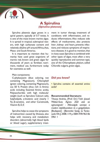 Spirulina platensis algae grows in a
spiral pattern, typically of 5-7 twists. It
is one of the most known marine algae.
It is spread in tropical, subtropical wat-
ers, with high carbonate content and
relatively alkaline pH aroundAfrica,Asia,
Mezo- and South America.
It is important to mention that hu-
manity have used great organisms of
marine red, brown and green algae for
thousands of years as fertilizer, nutri-
ment, medical use, furthermore today
for cosmetics as well.
Main components:
C-phykocyanin (blue coloring, not
containing Magnesium), Chlorophyll
(green coloring, containing Magnesium),
cca 50 % Protein (thus rich in Amino
acids including Essential Amino acids),
Polysaccharides with high molecular
weight (such as Spirulane Calcium salt),
Sulpholipids, γ-linolenic acid (nearly 1
%), β-carotine, and other Carotinoids,
Vitamin B, D, E
Spirulina helps to cease the symptoms
of malnutrition caused by illnesses, also
helps with recovery, and metabolism
disorders (abnormally high blood lipids
or blood sugar), supplementary treat-
ment in tumor therapy, treatment of
conditions with inflammation, and re-
duces inflammations. Also reduces side
effects of medicaments, also protects
liver-, kidney- and heart, prevents infec-
tions,and reduces symptoms of respira-
tory diseases.It is good to mention,that
in many cases Spirulina is combined with
other types of algae, most often a very
quickly reproductive and common type,
one of the Chlorophytes phylum, called
Chlorella vulgaris, green algae.
Did you know?
• Spirulina contains all essential amino
acids?
Recommended literature:
Tihanyi András, [Prof. Dr.] Tóth József,
Weber-Suta Ágnes: Zöld utat az
egészségnek! : Mikroalgák szerepe a
modern táplálkozásban és a gyógyításban.
[Budapest] : [Bereniké Szolg. és Tanác-
sadó Kft.], 2008. 119 p. ISBN 978 963 06
5961 1
A Spirulina
(Spirulina platensis)
44
 