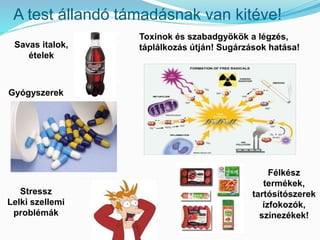 A test állandó támadásnak van kitéve! 
Savas italok, 
ételek 
Gyógyszerek 
Stressz 
Lelki szellemi 
problémák 
Toxinok és szabadgyökök a légzés, 
táplálkozás útján! Sugárzások hatása! 
Félkész 
termékek, 
tartósítószerek 
ízfokozók, 
színezékek! 
 