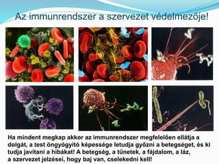 Az immunrendszer a szervezet védelmezője! 
Ha mindent megkap akkor az immunrendszer megfelelően ellátja a 
dolgát, a test öngyógyító képessége letudja győzni a betegséget, és ki 
tudja javitani a hibákat! A betegség, a tűnetek, a fájdalom, a láz, 
a szervezet jelzései, hogy baj van, cselekedni kell! 
 