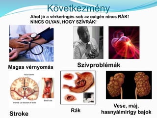 Következmény 
Ahol jó a vérkeringés sok az oxigén nincs RÁK! 
NINCS OLYAN, HOGY SZÍVRÁK! 
Szívproblémák 
Vese, máj, 
hasnyálmirigy bajok 
Magas vérnyomás 
Stroke 
Rák 
 