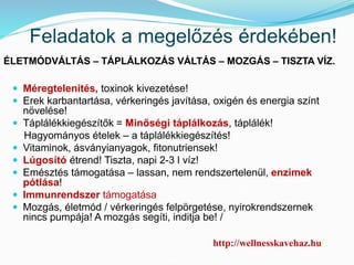 Feladatok a megelőzés érdekében! 
ÉLETMÓDVÁLTÁS – TÁPLÁLKOZÁS VÁLTÁS – MOZGÁS – TISZTA VÍZ. 
 Méregtelenítés, toxinok kivezetése! 
 Erek karbantartása, vérkeringés javítása, oxigén és energia színt 
növelése! 
 Táplálékkiegészítők = Minőségi táplálkozás, táplálék! 
Hagyományos ételek – a táplálékkiegészítés! 
 Vitaminok, ásványianyagok, fitonutriensek! 
 Lúgosító étrend! Tiszta, napi 2-3 l víz! 
 Emésztés támogatása – lassan, nem rendszertelenül, enzimek 
pótlása! 
 Immunrendszer támogatása 
 Mozgás, életmód / vérkeringés felpörgetése, nyirokrendszernek 
nincs pumpája! A mozgás segíti, inditja be! / 
http://wellnesskavehaz.hu/ 
 