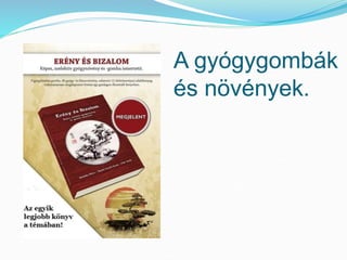 A gyógygombák 
és növények. 
 