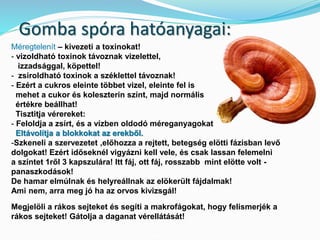 Gomba spóra hatóanyagai: 
Méregtelenít – kivezeti a toxinokat! 
- vizoldható toxinok távoznak vizelettel, 
izzadsággal, köpettel! 
- zsiroldható toxinok a széklettel távoznak! 
- Ezért a cukros eleinte többet vizel, eleinte fel is 
mehet a cukor és koleszterin színt, majd normális 
értékre beállhat! 
Tisztitja vérereket: 
- Feloldja a zsírt, és a vízben oldodó méreganyagokat 
Eltávolítja a blokkokat az erekből. 
-Szkeneli a szervezetet ,előhozza a rejtett, betegség elötti fázisban levő 
dolgokat! Ezért időseknél vigyázni kell vele, és csak lassan felemelni 
a színtet 1ről 3 kapszulára! Itt fáj, ott fáj, rosszabb mint elötte volt - 
panaszkodások! 
De hamar elmúlnak és helyreállnak az elökerült fájdalmak! 
Ami nem, arra meg jó ha az orvos kivizsgál! 
Megjelöli a rákos sejteket és segíti a makrofágokat, hogy felismerjék a 
rákos sejteket! Gátolja a daganat vérellátását! 
 