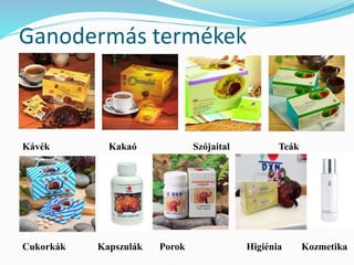 Ganodermás termékek 
Kávék Kakaó Szójaital Teák 
Cukorkák Kapszulák Porok Higiénia Kozmetika 
 