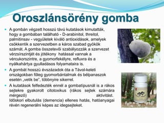 Oroszlánsörény gomba 
 A gombán végzett hosszú távú kutatások kimutatták, 
hogy a gombában található - D-arabinitol, threitol, 
palmitinsav - vegyületek kiváló antioxidások, amelyek 
csökkentik a szervezetben a káros szabad gyökök 
számát. A gomba összetevői szabályozzák a szervezet 
vérzsírszintjét és jótékony hatással vannak a 
vércukorszintre, a gyomorfekélyre, refluxra és a 
nyálkahártya gyulladásos folyamataira is. 
 A gombát hosszú évszázadok óta a Távol-keleti 
országokban főleg gyomorbántalmak és bélpanaszok 
esetén „vetik be”, többnyire sikerrel. 
 A kutatások felfedezték ennél a gombatípusnál is a rákos 
sejtekre gyakorolt citotoxikus (rákos sejtek számára 
mérgező) aktivitást. 
Időskori elbutulás (demencia) ellenes hatás, hatóanyagai 
révén regenerálni képes az idegsejteket. 
 