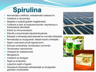 Spirulina 
 Normalizálja a bélflórát, antibakteriális hatással bír. 
 Csökkenti a vérnyomást. 
 Megelőzi a szabad gyökök megjelenését. 
 Csökkenti a lipid- és koleszterinszintet, helyrehozza a 
kolineszteráz aktivitását. 
 Erősíti az immunrendszert. 
 Ellenáll a rosszindulatú képződményeknek. 
 Elősegíti a terhesség bekövetkeztét és normális lefolyását. 
 Normalizálja az anyagcserét, többek között a fehérjéét. 
 Segíti a szervezet pH-ját lúgossá tenni. 
 Könnyen emészthető, természetes vas forrás! 
 Természetes vitaminforrás! 
 Vérképző és vitalitásnövelő. 
 Méregtelenít. 
 Csökkenti az étvágyat. 
 Segíti az emésztést. 
 Lúgosítva segíti a fogyást. 
 Összetevői kedvezően befolyásolják az étvágytalan 
gyerekek növekedését. 
 