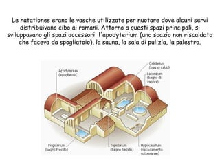 Le natationes erano le vasche utilizzate per nuotare dove alcuni servi
distribuivano cibo ai romani. Attorno a questi spazi principali, si
sviluppavano gli spazi accessori: l'apodyterium (uno spazio non riscaldato
che faceva da spogliatoio), la sauna, la sala di pulizia, la palestra.
 