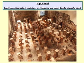 Hipocaust
Espai baix, situat sota el caldarium, on s'introduia aire calent d'un forn (praefurnium).
 