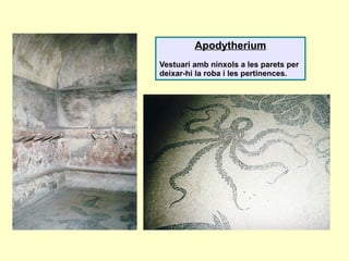 Apodytherium
Vestuari amb ninxols a les parets per
deixar-hi la roba i les pertinences.
 