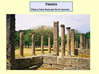 Palestra
Pista a l'aire lliure per fer-hi exercici.
 