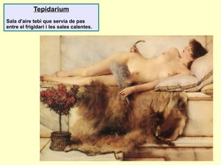 Tepidarium
Sala d'aire tebi que servia de pas
entre el frigidari i les sales calentes.
 