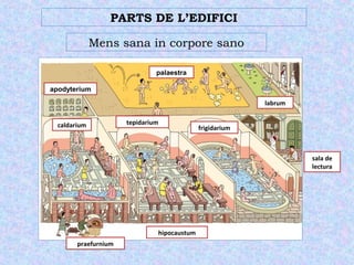 PARTS DE L’EDIFICI 
Mens sana in corpore sano 
palaestra 
apodyterium 
praefurnium 
hipocaustum 
labrum 
sala de 
lectura 
frigidarium 
caldarium tepidarium 
 