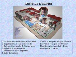 PARTS DE L’EDIFICI 
1.Caldarium o sala de banys calents Alveus o banyera d’aigua calenta 
3.Tepidarium o sala temperada Labrum o font per a refrescar 
4.Frigidarium o sala de banys freds Natatio o piscina a l’aire lliure 
5.Apodyterium o vestidor Laconicum o sauna 
7.Palaestra o pista esportiva 
8.Sala de lectura 
 